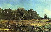 Alfred Sisley Avenue of Chestnut Trees near La Celle Saint Cloud oil painting